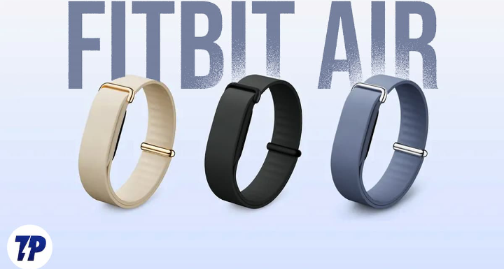google fitbit air obsidian/berry/blue google fitbit air obsidian/berry/blue